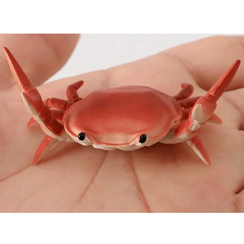 Weightlifting Crab Pen Holder – Fun Multifunctional Desktop Ornament