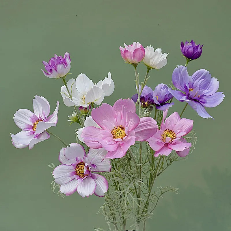 Artificial Cosmos Flower Branch – 4-Fork Stem for Home & Wedding Décor