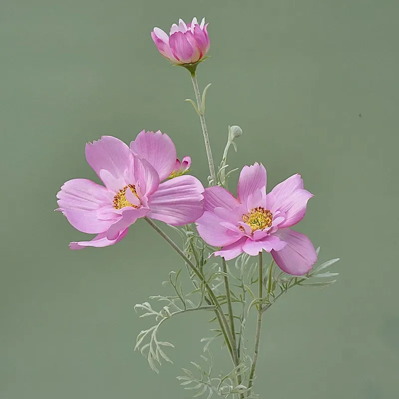 Artificial Cosmos Flower Branch – 4-Fork Stem for Home & Wedding Décor